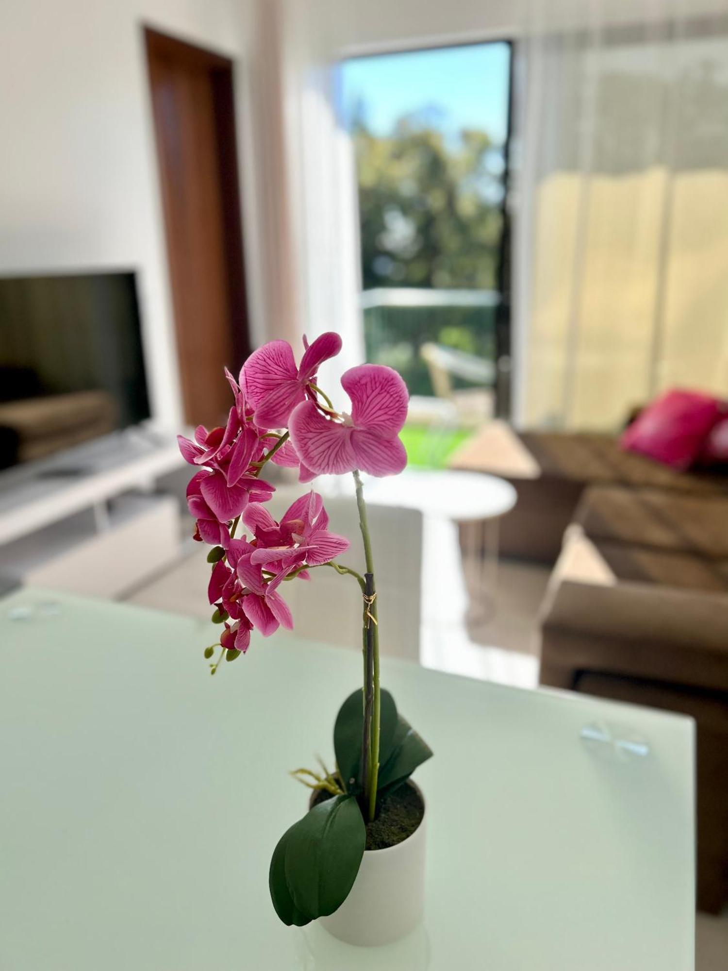 Santa Catarina By Ola Madeira Apartment Funchal  Luaran gambar